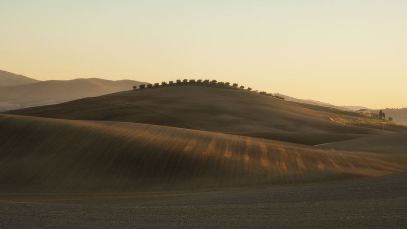 A Tuscan hill crowned with cypresses at sunset, ploughed fields backlit